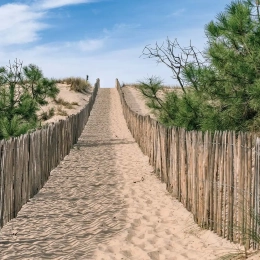 Accès direct plage de sable
